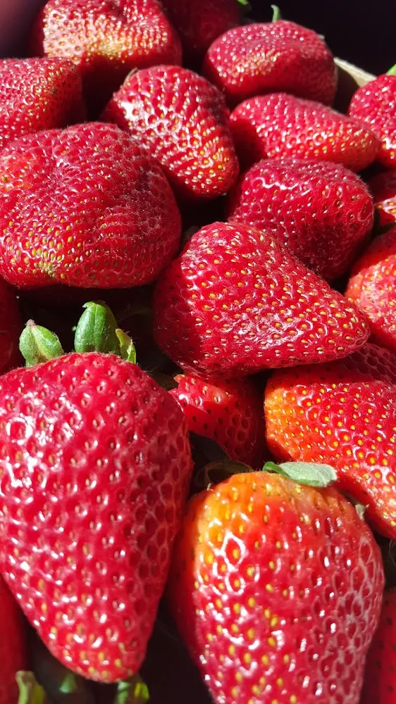 Strawberry
